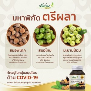 Herbthaizhong Trepala Capsules 100 caps., Пищевая добавка "Трифала" для повышения тонуса и детокса организма 100 капсул