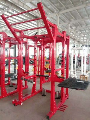 Силовая рама Insight Fitness TM101