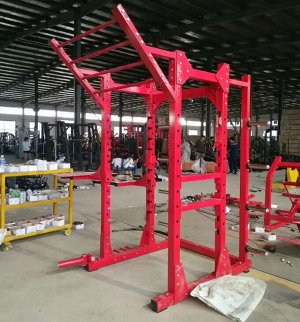 Силовая рама Insight Fitness TM101