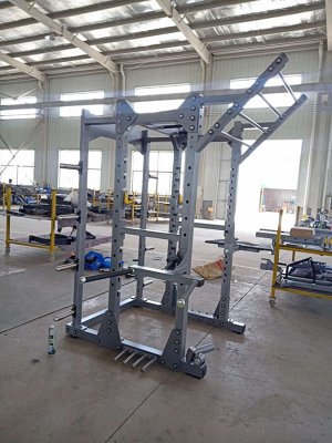Силовая рама Insight Fitness TM101