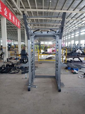 Силовая рама Insight Fitness TM101