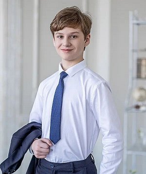 ALOLIKA Стильный и модный принтованный галстук с мелким рисунком Арнольд 35 см