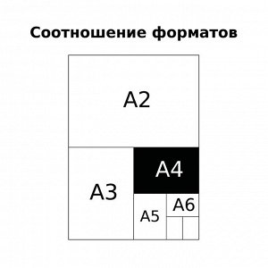 Тетрадь 80л., А4, линия BG ""Monocolor. Letters""