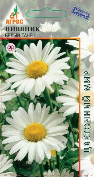 Нивянник Белый Танец (Код: 90848)
