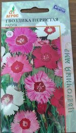 Гвоздика Перистая Радуга (Код: 90827)