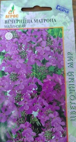 Вечерница Матроны Малиновая (Код: 90825)