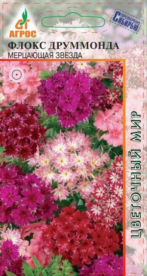 Флокс Мерцающая звезда (Код: 90856)