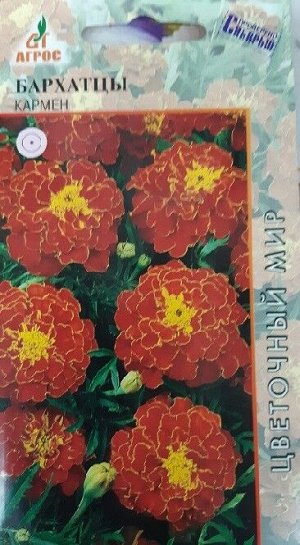 Бархатцы Кармен (Код: 10730)