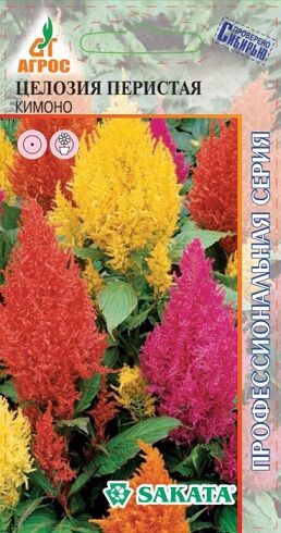 Целозия Кимоно (Код: 90867)
