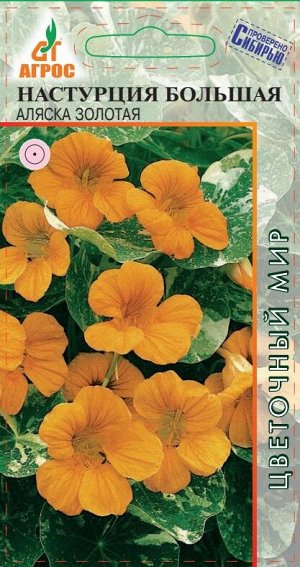 Настурция Аляска Золотая большая (Код: 90843)