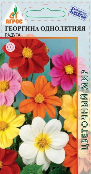 Георгина Радуга (Код: 90832)