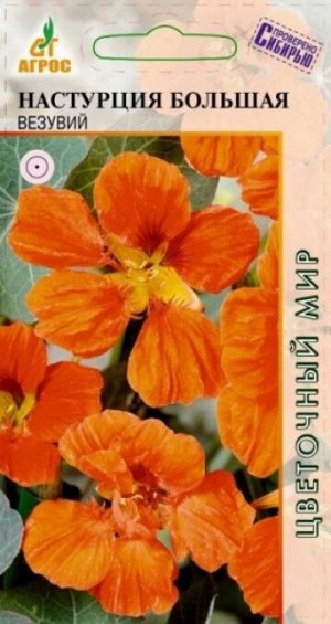Настурция Большой Везувий (Код: 78333)