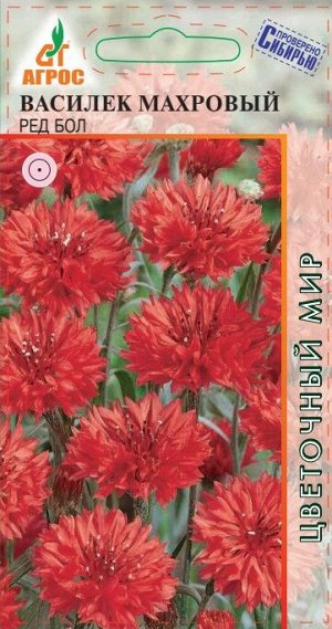 Василек Махровый Ред Бол (Код: 90821)