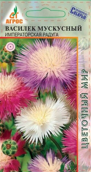 Василек Мускусный Императорская Радуга (Код: 90822)
