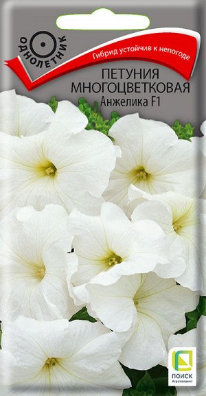 Петуния Анжелика F1 (Код: 65600)