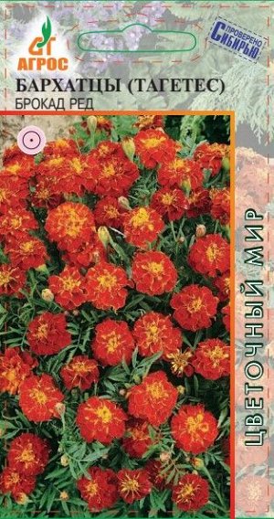 Бархатцы Брокад Ред (Код: 90807)