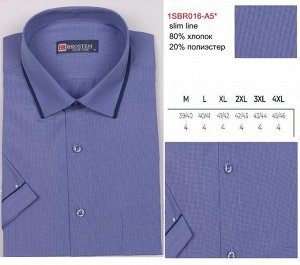 1016-5*SBRAs Brostem рубашка мужская полуприталенная