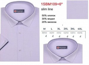 1109+6*SBMs Рубашка мужская полуприт Brostem