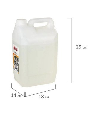 Геникс Средство дезинфицирующее Ника-2, 5л