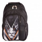 Nordi — Яркие и Качественные Рюкзаки Школьные 👜 Сумки
