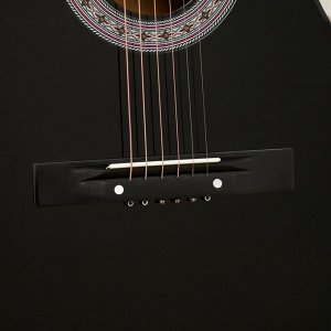 Акустическая гитара TERRIS TF-3802A BK