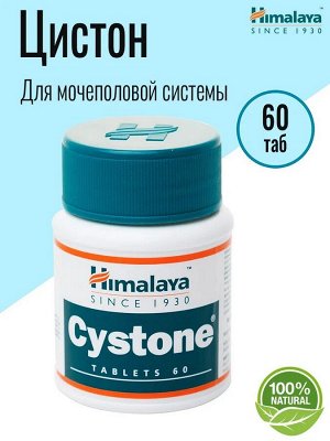 Himalaya Herbals / Cystone Tab / Хималая Цистон 60таб. | Бады Himalya ...
