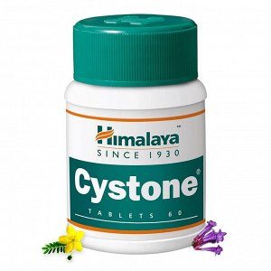 Cystone Tab / Хималая Цистон 60таб.