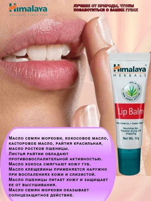 Himalaya Wellness Lip Balm / Хималая Бальзам для губ 10г. [A+]