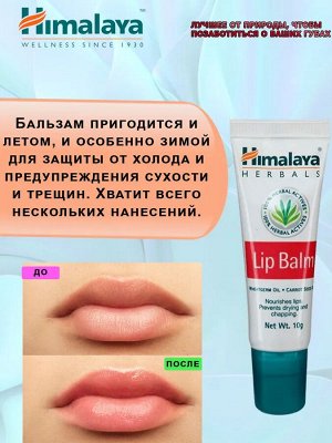 Himalaya Wellness Lip Balm / Хималая Бальзам для губ 10г. [A+]
