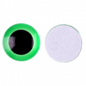 Глаза на клеевой основе, набор 10 шт., размер 1 шт. — 12 мм, цвет зелёный