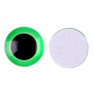 Глаза на клеевой основе, набор 10 шт., размер 1 шт. — 15 мм, цвет зелёный