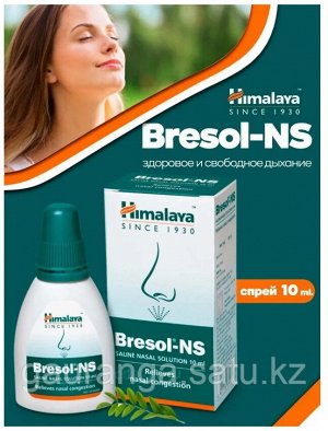 Himalaya Herbals Himalaya Wellness Bresol-NS Saline Nasal Solution Хималая Бресол 10мл. [A+]