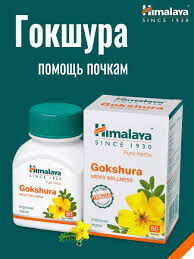 Gokshura / Хималая Гокшура 60таб.