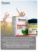 Pain Balm / Хималая Пэйн Балм 10гр.