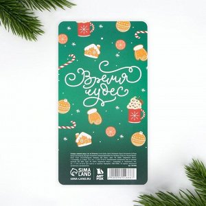 Стикеры-закладки «Новогодних чудес», 5 шт, 30 л