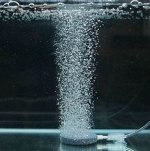 Аэрация воды кислородом в аквариуме