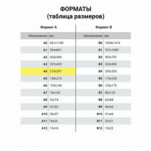 Папка для труда BRAUBERG А4, 2 отделения, пластик, молния сверху, органайзер, Cup Cakes, 229134