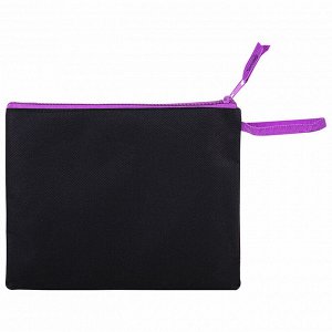 Папка для тетрадей BRAUBERG А5, 1 отделение, полиэстер, на молнии, с ручкой, Fly Aways, 271499