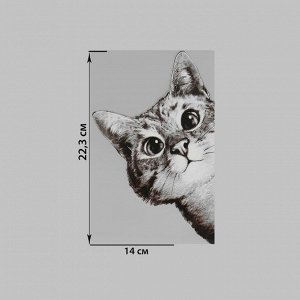 Термотрансфер «Любопытный кот», 14 x 22,3 см
