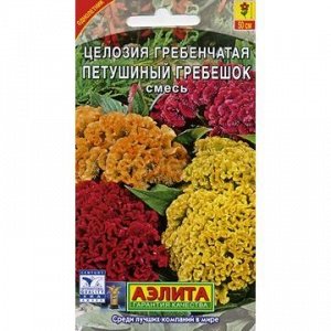 Целозия гребенчатая Петушиный гребешок (Аэлита)