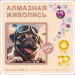 Алмазная мозаика 20*20см SB2219