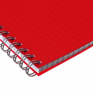 Тетрадь на гребне A5 96 листов в клетку "Красная", пластиковая обложка, блок офсет