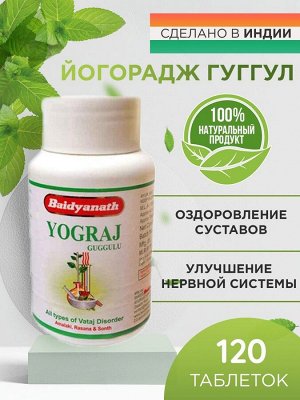 Baidyanath Ayurveda Yograj Guggulu / Байдианат Йограж Гуггул 120таб. [A+]