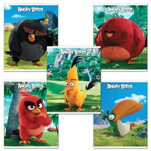 Тетрадь ANGRY BIRDS-(MOVIE) 48л., кл., обложка мел. картон,