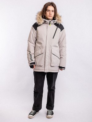 Парка. Цвет: Светло серый