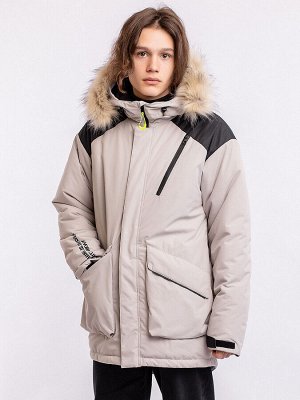 Парка. Цвет: Светло серый