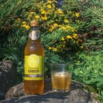 Комбуча Мед-Имбирь-Лимон &quot;KOMBUCHA-IMМUNO+&quot;, 555 мл.