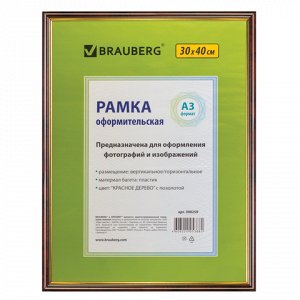 Рамка BRAUBERG HIT 30*40см, пластик, красное дерево с позоло