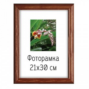 Рамка премиум 21*30см "Diana", дерево, орех (д/диплом,сертиф