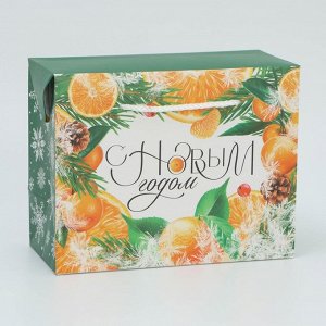 Пакет-коробка подарочный новогодний «С Новым годом», 23*18*11 см